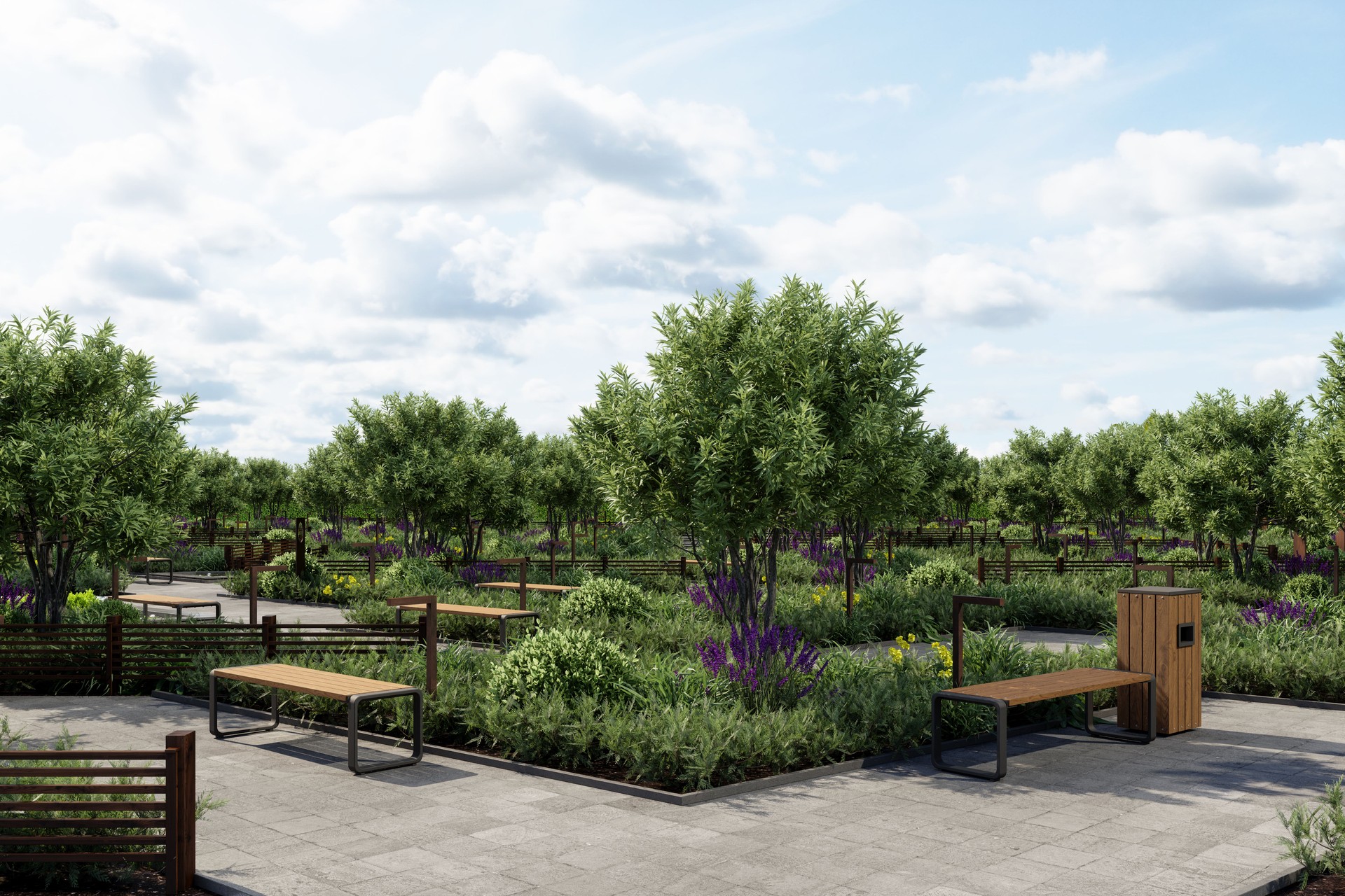 Empty Park With Wooden Benches, Trees And Creeper Plants
