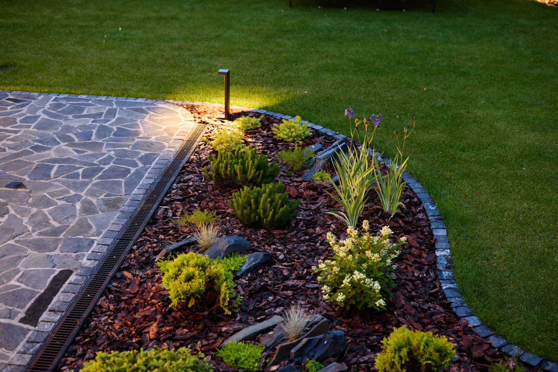 A stunning garden landscape featuring beautiful night lighting and an array of vibrant plants