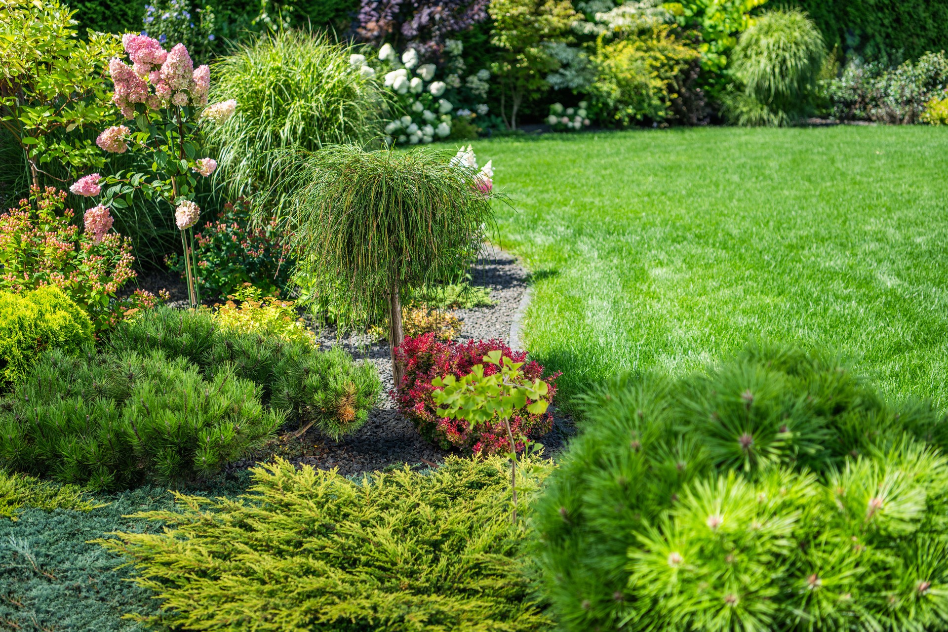 Lush Garden Landscape With Vibrant Flowering Plants and Green Foliage in a Sunny Outdoor Setting