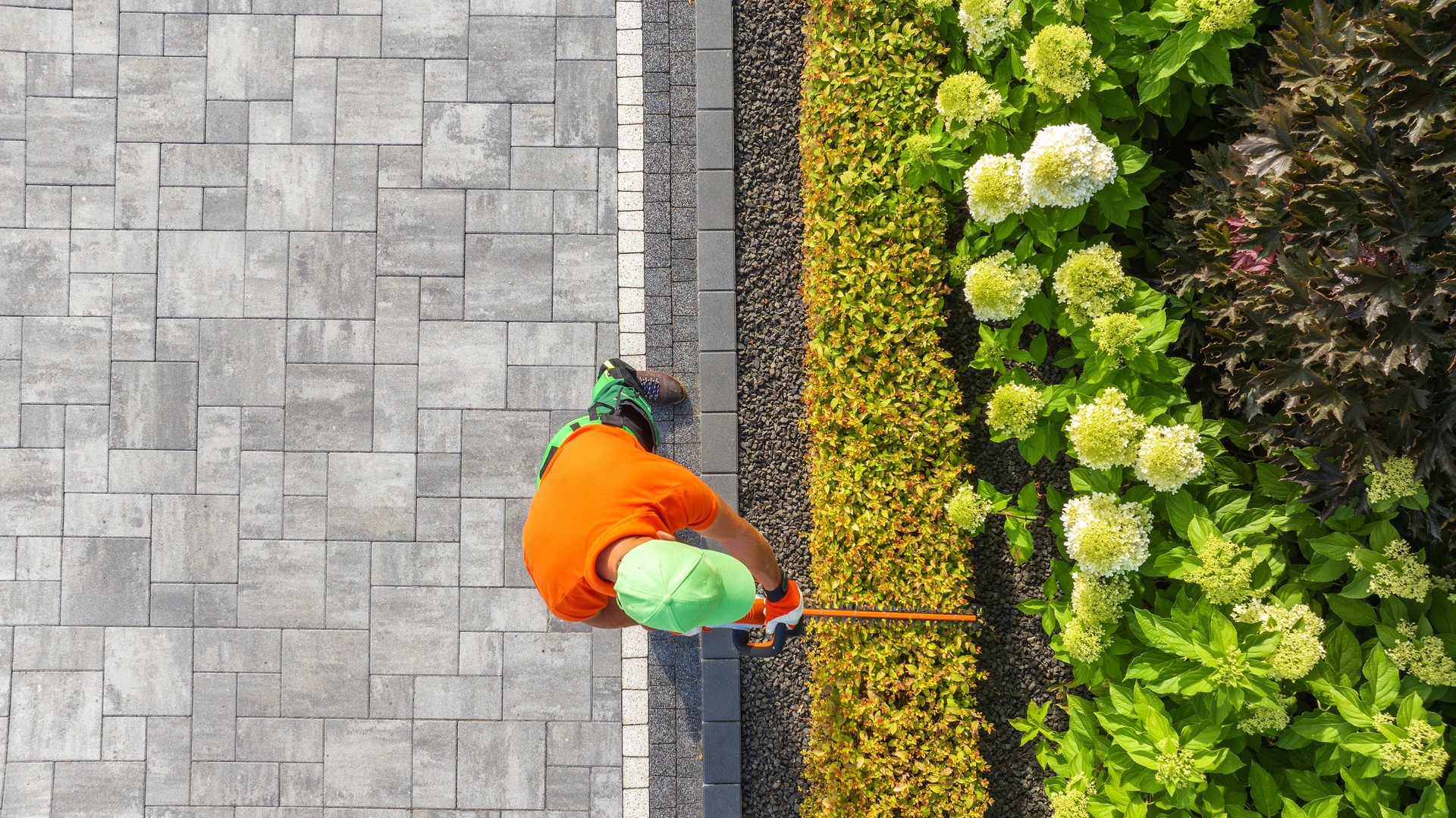 Gardener Trimming Hedges in a Landscaped Garden on a Sunny Day